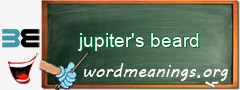 WordMeaning blackboard for jupiter's beard